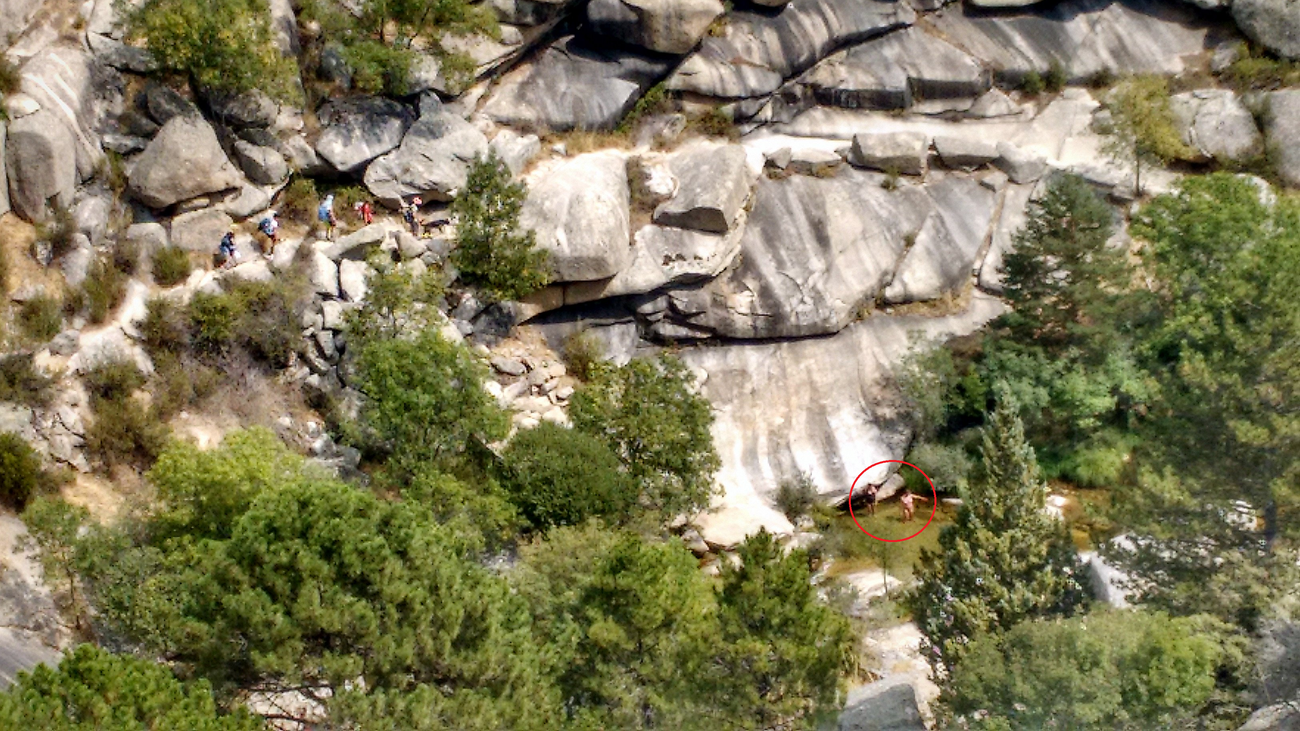 Personas en el río Manzanares a su paso por La Pedriza, a pesar de la prohibición de baño existente
