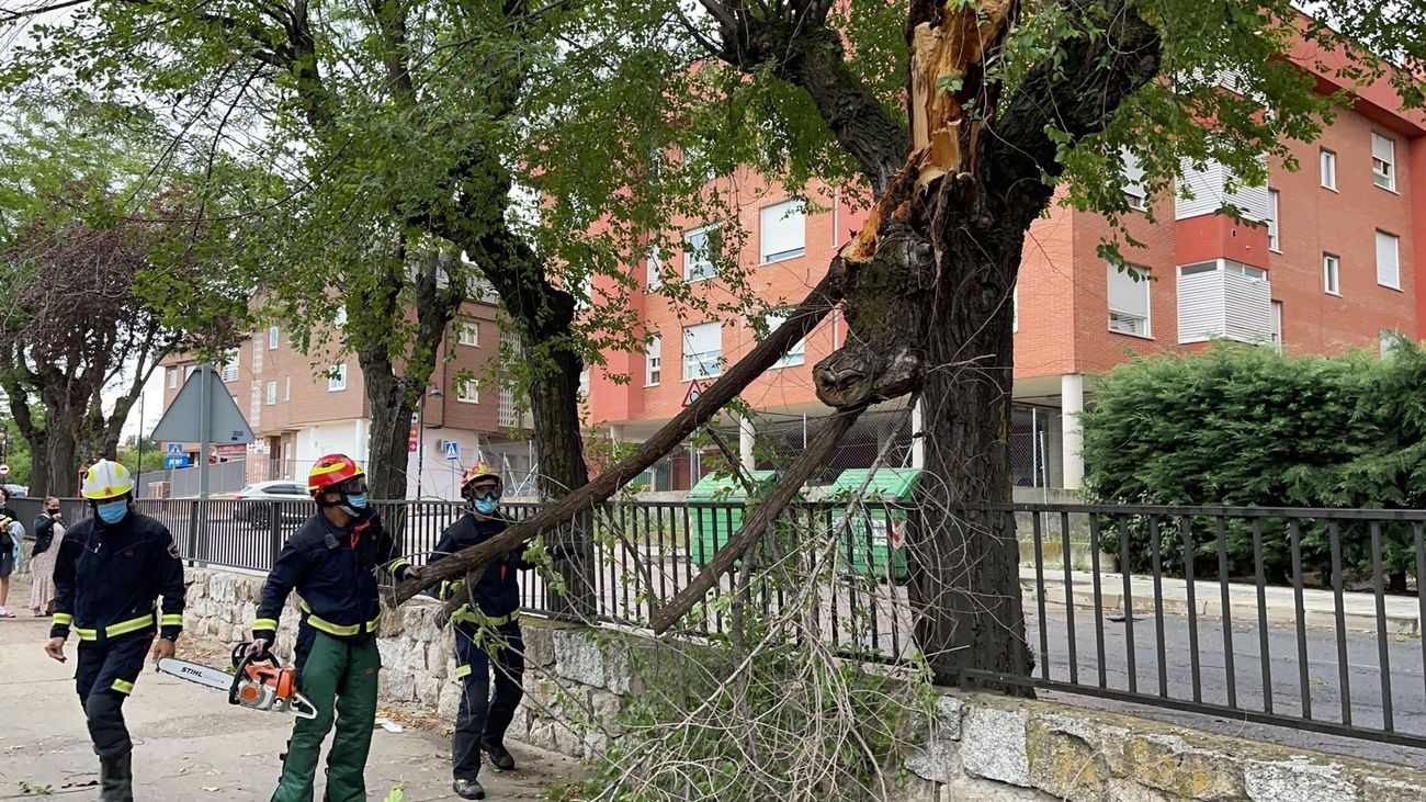 Bomberos de Madrid revisan en arbolado tras la granizada de este 16 de junio