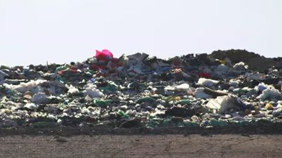 Ecologistas denuncian los olores nauseabundos del vertedero de Pinto