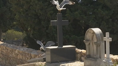 Terror a unas gaviotas en Barcelona