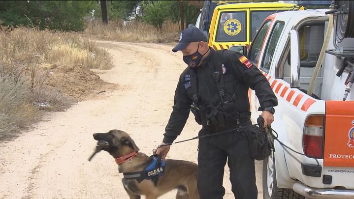Batida con 50 voluntarios y perros rastreadores por el monte del Pilar / Telemadrid