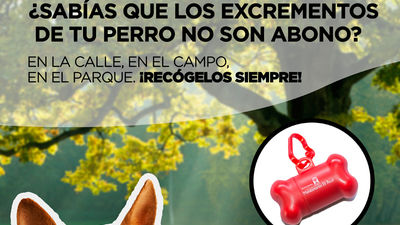 Huesos en Manzanares el Real para evitar ensuciar y transmitir enfermedades