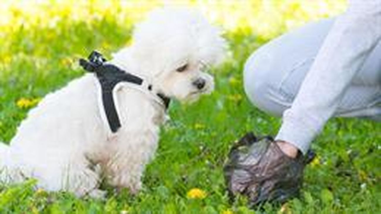 Una persona recoge las heces de su mascota en una zona verde