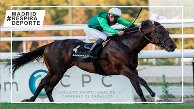 Rodaballo, el mejor millero del momento