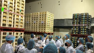 Europa pone a Campo Real como ejemplo contra el abandono escolar