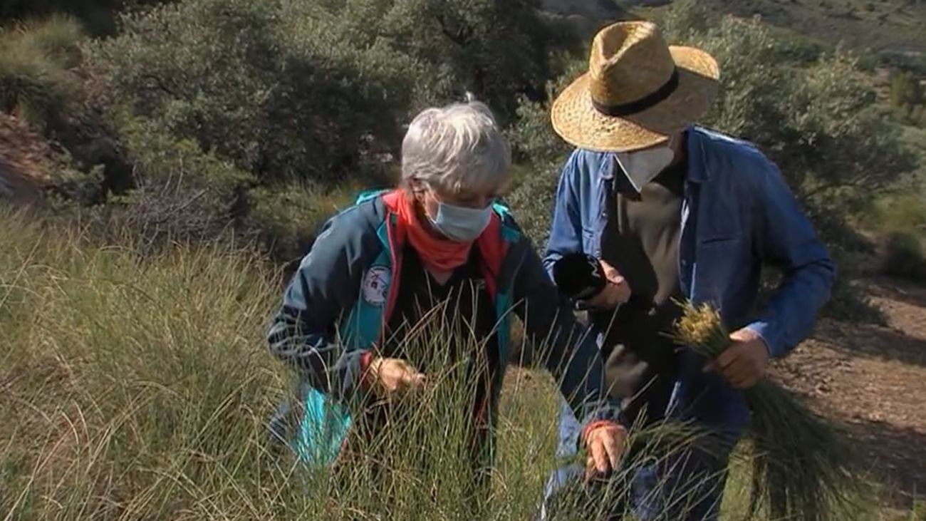Julia España, la única madrileña con el carnet de artesana espartera