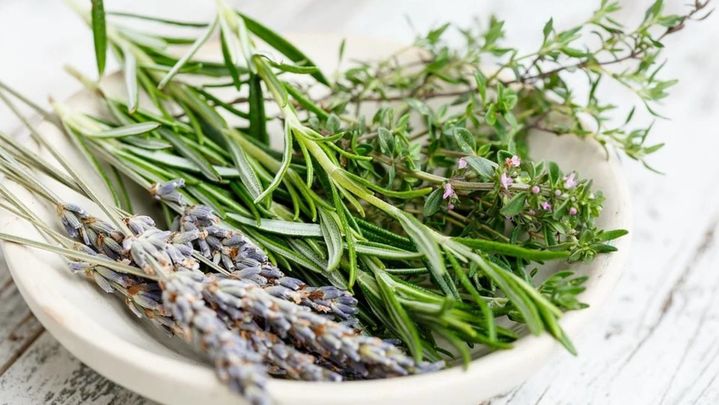 El romero es una planta con muchas propiedades / ARCHIVO