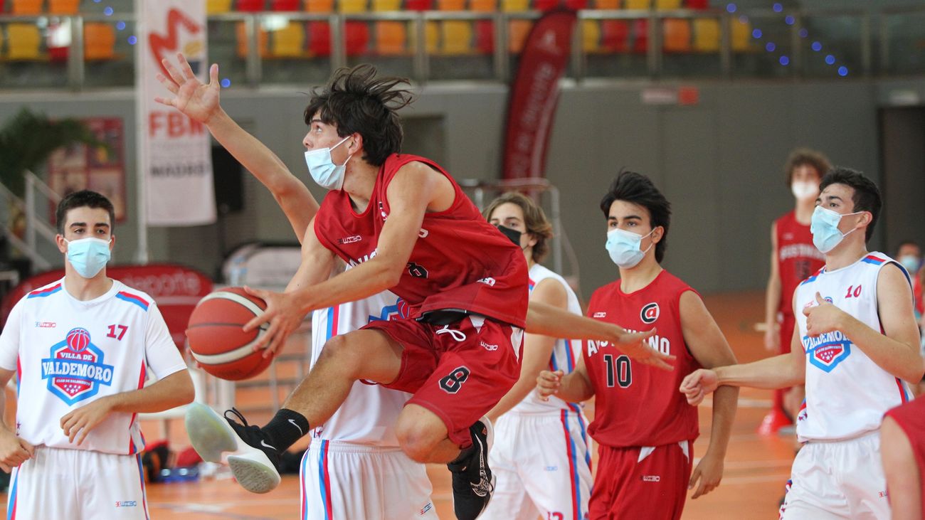 Gran éxito de la celebración del Día del Federado de baloncesto