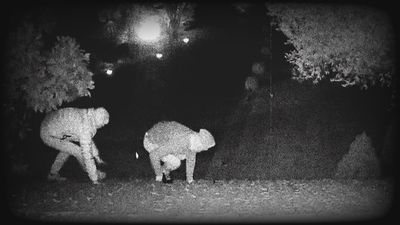 Cómo evitar los robos en casa cuando nos vamos de vacaciones