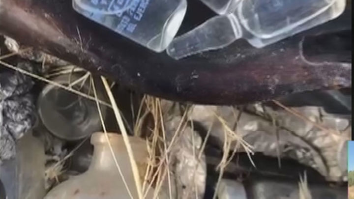 Antibióticos y medicamentos con la etiqueta del Ejército tirados en una zona cercana al arroyo Meaques / TELEMADRID