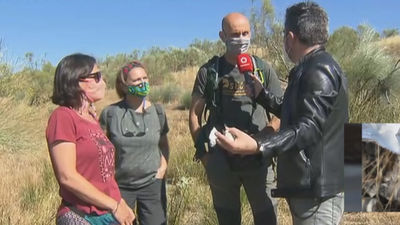 Denuncian restos de peligrosos fármacos del Ejército tirados en una zona de Cuatro Vientos