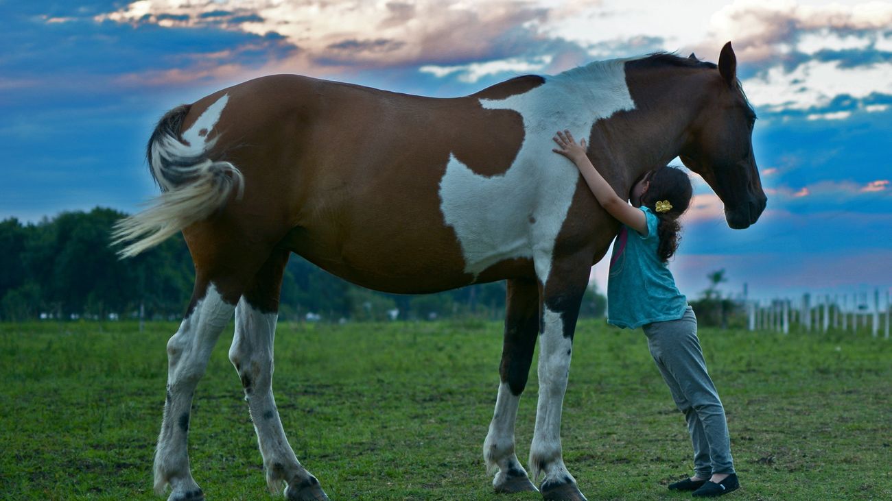 Verano y sin cole, un campamento con caballos en plena naturaleza