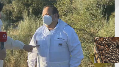 Los apicultores madrileños destinaran las ayudas a la mejora de la diversidad de las colmenas