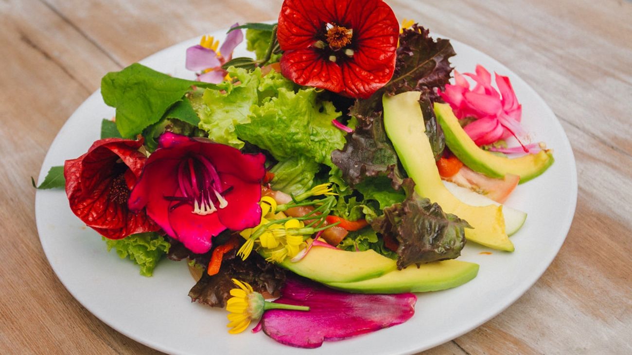 Flores comestibles para incorporar a nuestros platos
