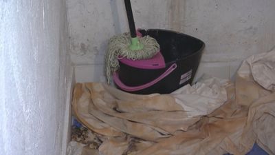 Vecinos de Tetuán conviven con filtraciones, insectos y ratas