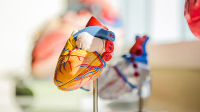 Un cuarto de hora separa la vida de la muerte en las paradas cardíacas