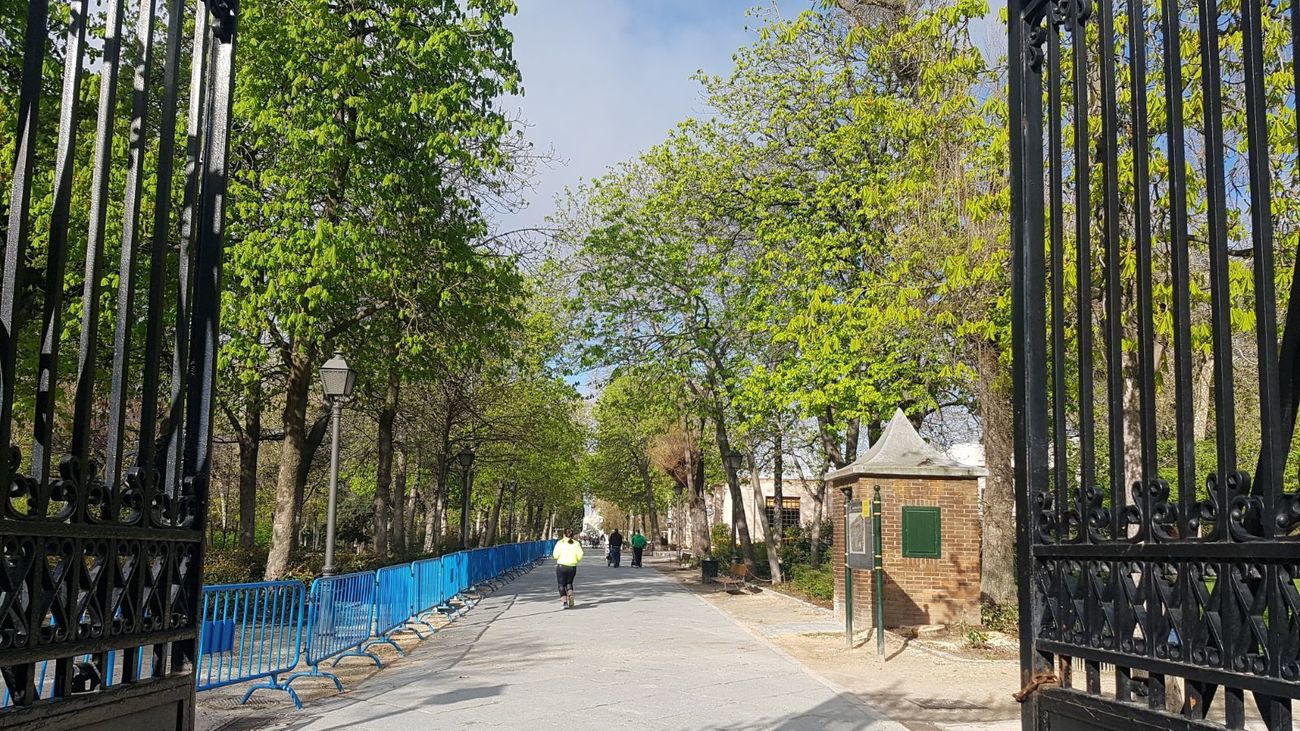 El Retiro y 8 parques más con zonas acotadas por el fuerte viento