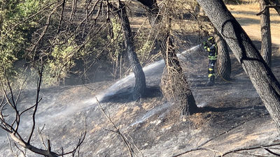 Arden dos hectáreas de pasto bajo y pinos detrás del Hospital Clínico
