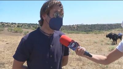 El sector ganadero, "indignado" con el ministro Garzón por su campaña para reducir el consumo de carne