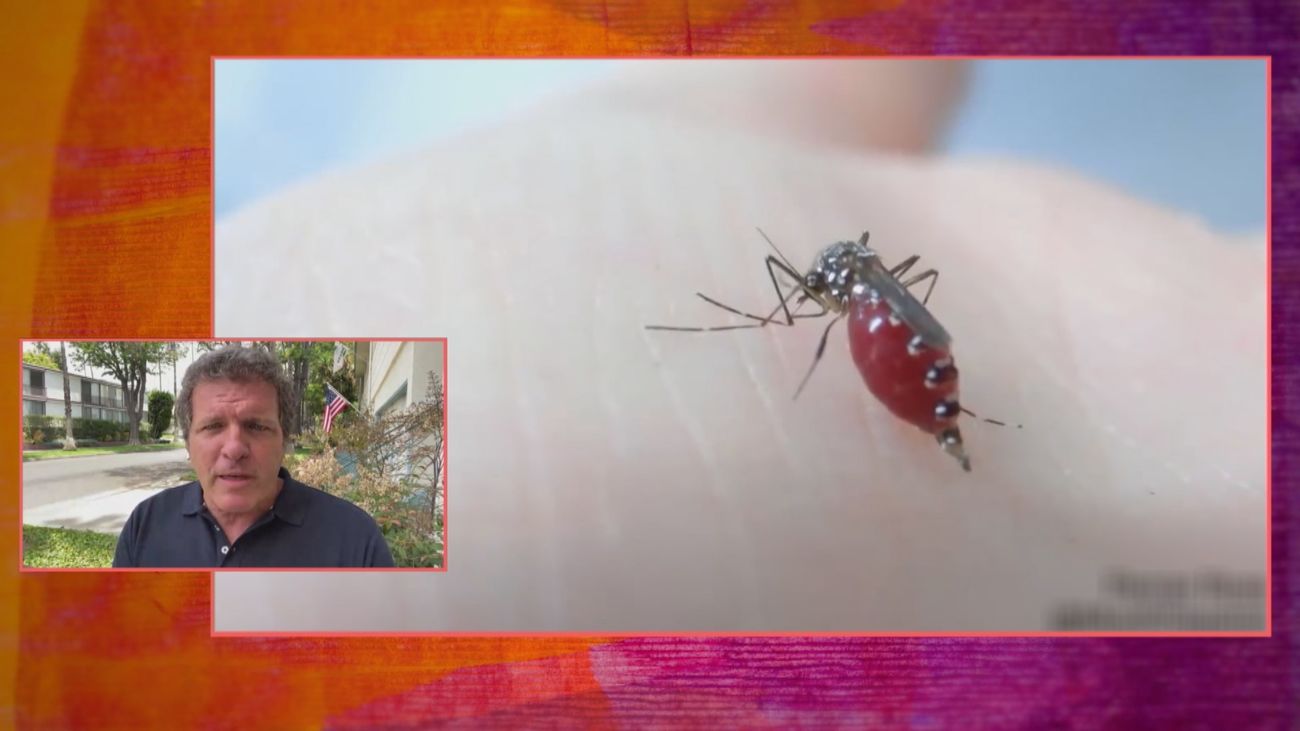 ¿Por qué los mosquitos pican más a unas personas que a otras?