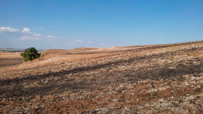 Denuncian nuevos vertidos  de lodos en el Parque Regional del Sureste