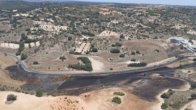 Arden 1.500m2 de pasto, algún pino y 2 coches de un concesionario en Alpedrete