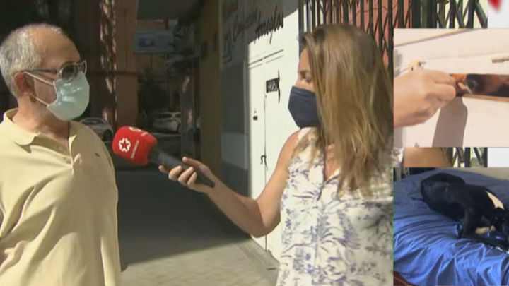 Uno de los vecinos que alertó de la situación del galgo / TELEMADRID