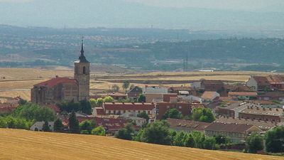 ¿Cómo te puedes hacer cargo de la cafetería de una instalación municipal?