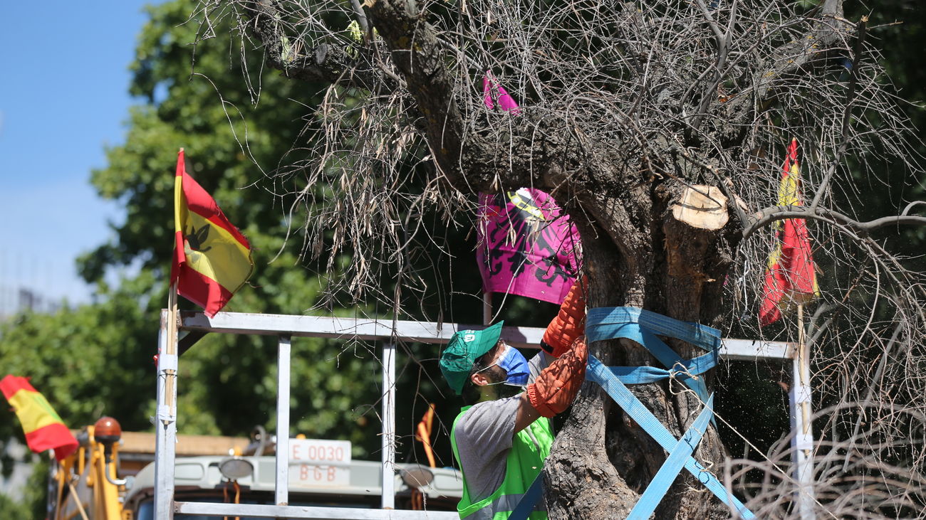 Los agricultores piden ayuda ante un futuro muy negro