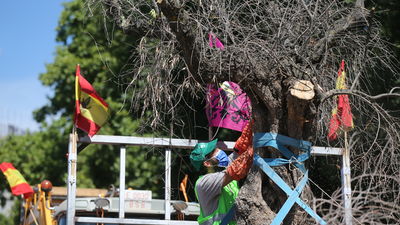 Los agricultores piden ayuda ante un futuro muy negro