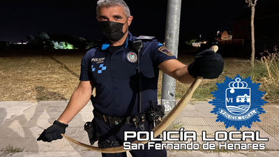Una culebra 'bastarda' pone en alerta a un vecino de San Fernando