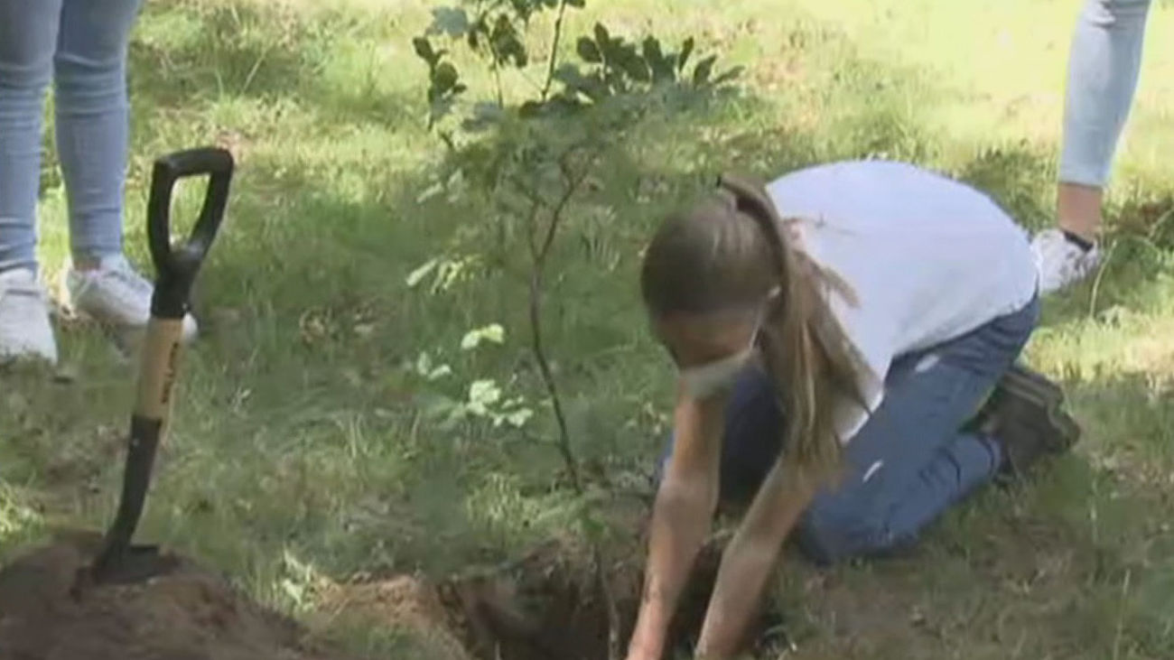 Primer acto público de Leonor y Sofía sin los Reyes para plantar árboles en el Hayedo de Montejo