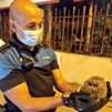 La policía de Alcorcón salva de morir atropellado...a un erizo