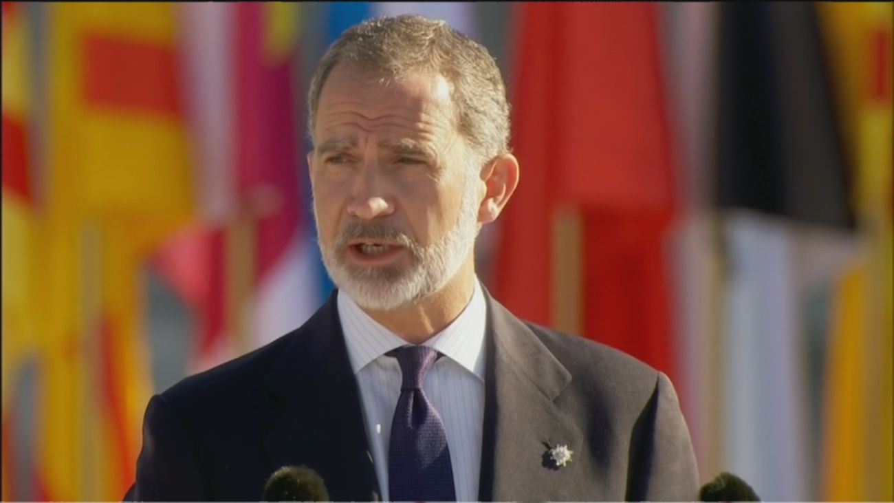 El rey de España, Felipe VI