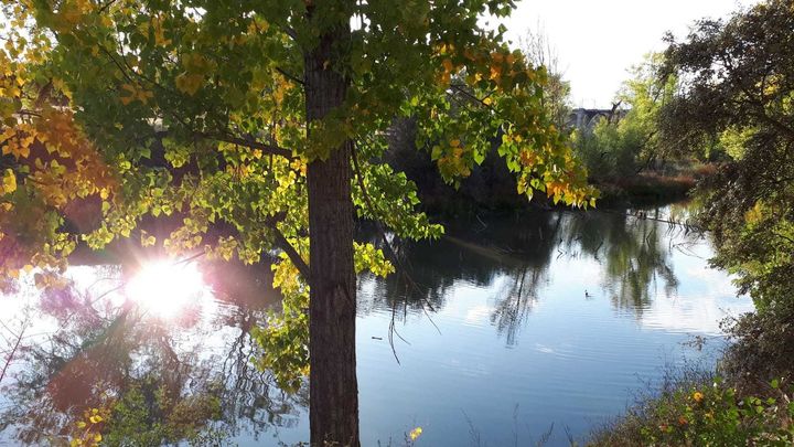 El río Manzanares a su paso por el monte del Pardo / REDACCIÓN