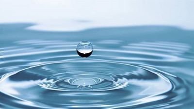 El enigma de la gota caminante