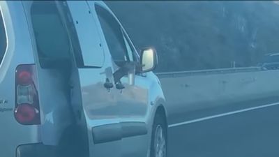 Detenidos dos conductores temerarios en Tenerife gracias a la colaboración ciudadana