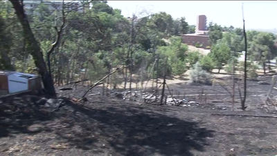 Buenos Días Madrid 05.08.2021 (8.00 - 9.00)