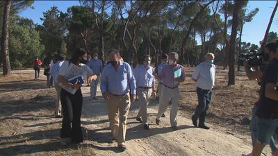 Madrid se repoblará con 100.000 encinas y robles tras el desastre de ‘Filomena’