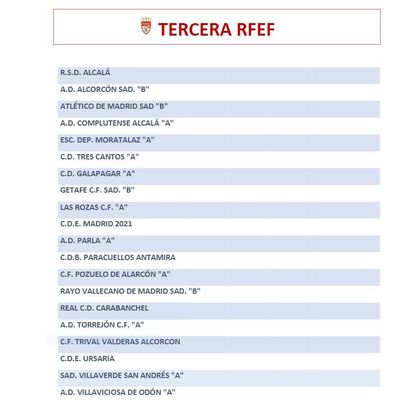 Grupo de Tercera RFEF / RFFM