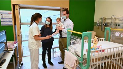 El Gregorio Marañón desarrolla una terapia celular pionera para evitar el rechazo de trasplante de órganos