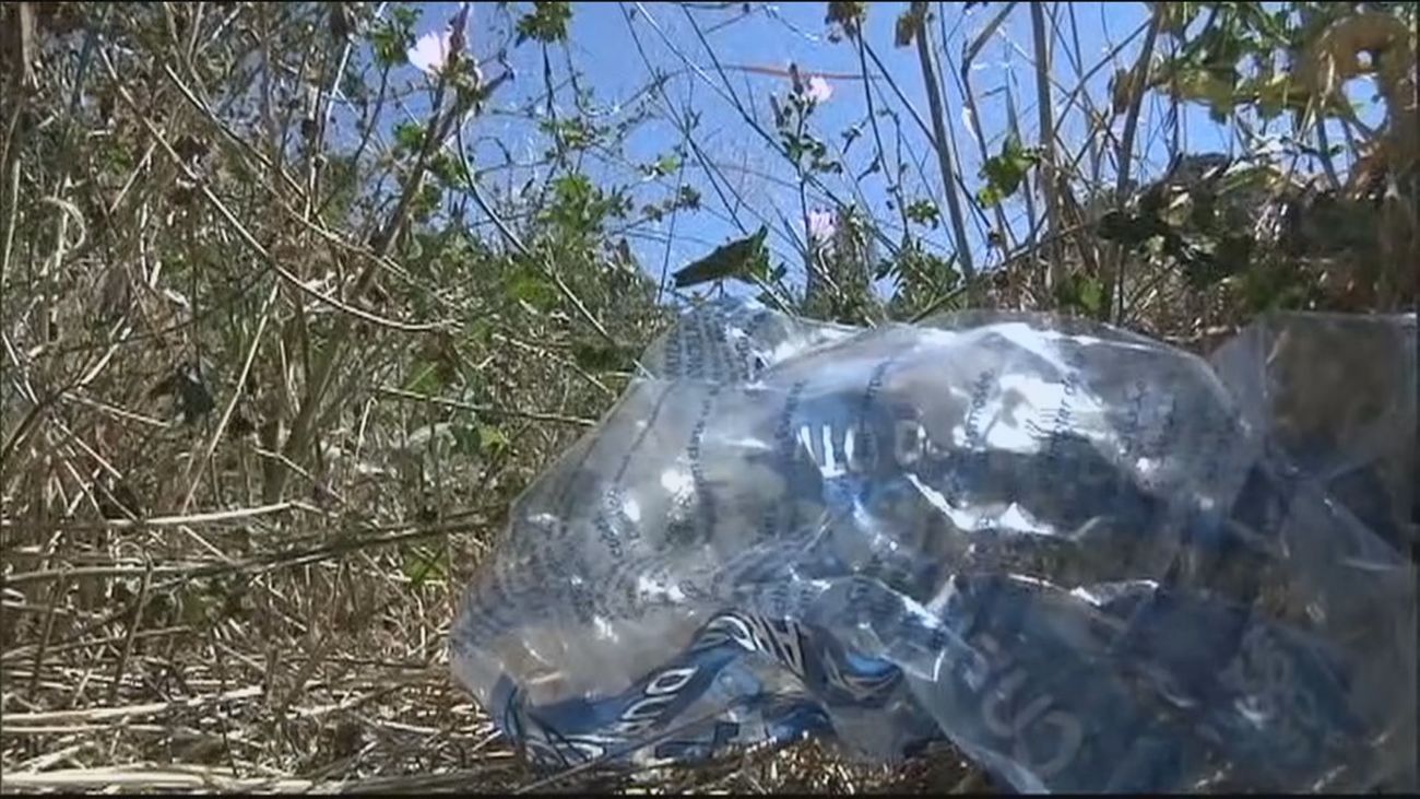 "Un poquito de educación ambiental": El mensaje de SOS Pedriza tras denunciar el deterioro de la zona