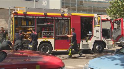 Madrid pone en marcha un plan para retirar, triturar y podar la biomasa y evitar los incendios