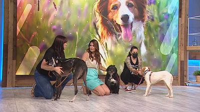 Está Pasando 21.07.2021 (Parte 1)