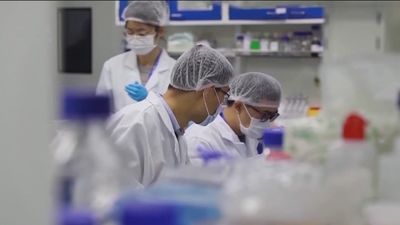 China se niega a que la OMS vuelva a investigar en Wuhan los orígenes del coronavirus