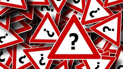 ¿Qué clase de animal es un ciervo volante?