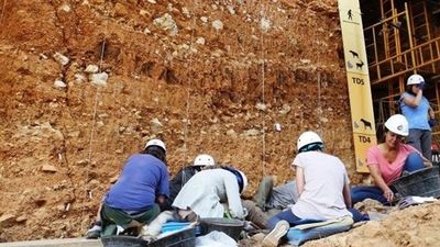 Finaliza la campaña de excavación en Atapuerca con importantes hallazgos prehistóricos