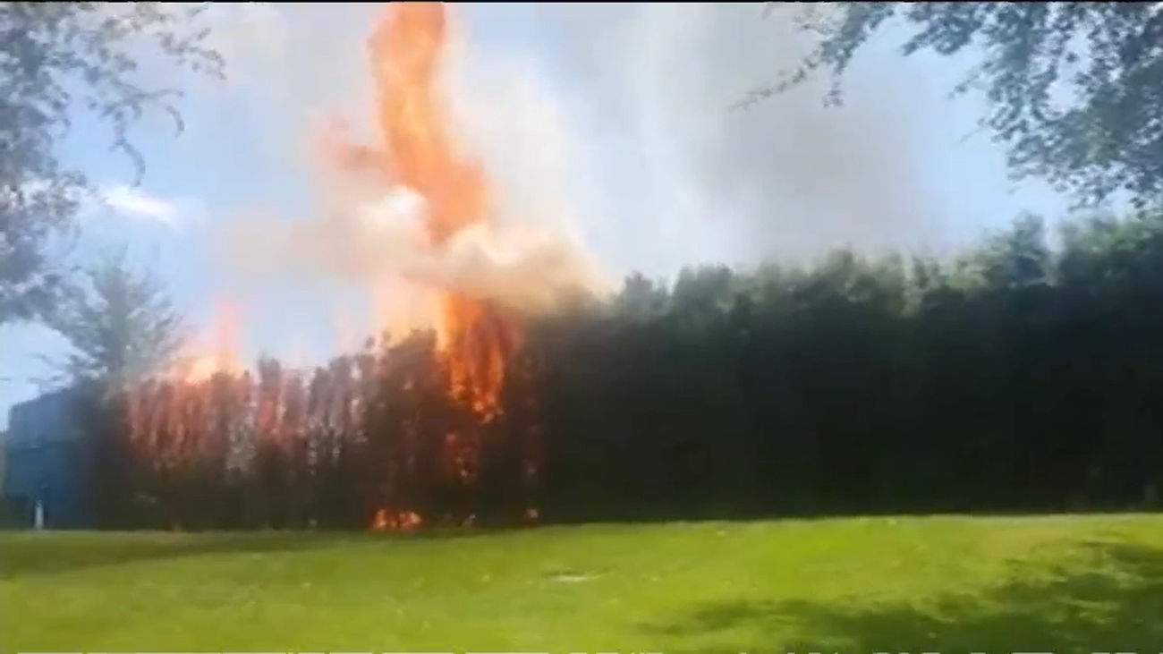Desalojan la piscina de Mejorada del Campo por un incendio del seto
