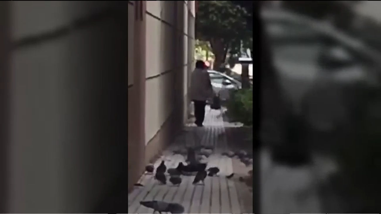 Vecinos de Embajadores, hartos de una vecina que alimenta a las palomas en la calle