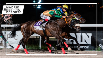 Las carreras de 'Las Noches del Hipódromo' conquistan el verano madrileño